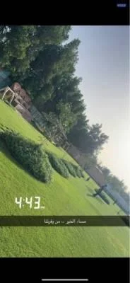 متوفرة بالوفرة هالويك اند ويوجد شهري كذلك