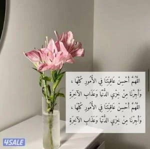 للايجار وافدين شقه غرفتين بالرقه قطعه ٦